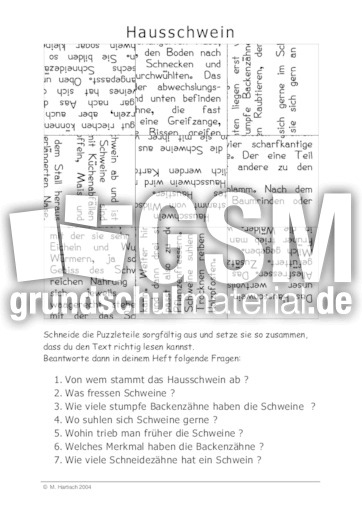 Hausschwein.pdf